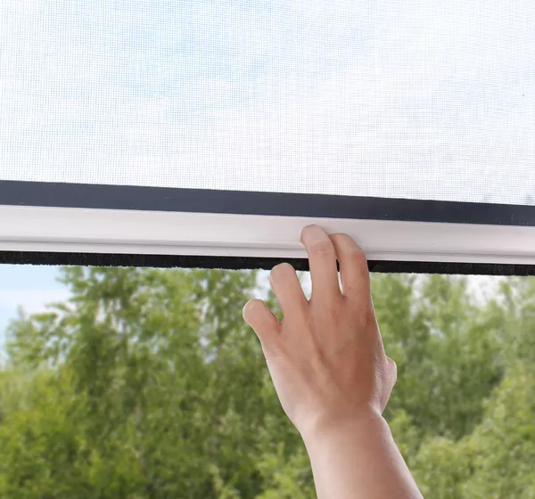Insektenschutzrollo für Fenster PVC - Basic - Vertikal